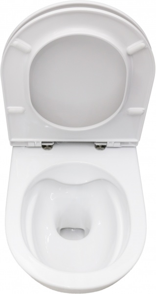 Унитаз подвесной Laufen Pro Rimless H8219520000001