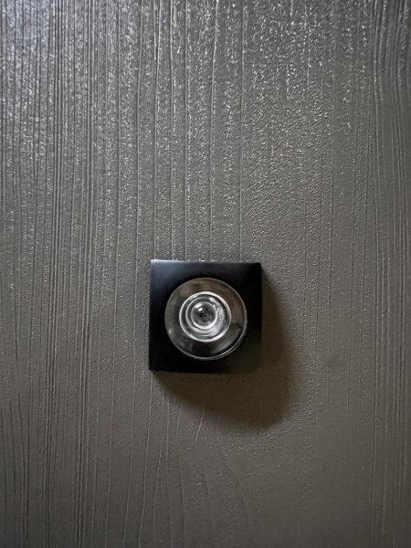 Двері вхідні Мавіс Н-20 клен темно-сірий / клен явір 2050x960 мм ліві