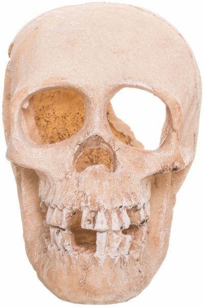 Декорація TRIXIE Череп 15 см 8713