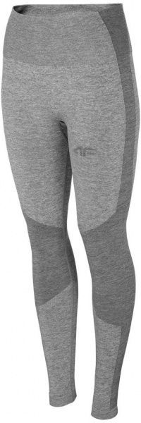 Термобрюки 4F BIDB032D H4Z20-BIDB032D-27M L/XL серый