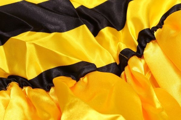 Костюм дитячий карнавальний КАРНАВАЛІЯ Бджілка 5-7 років р.122 жовтий 