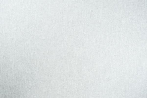 Обои виниловые на флизелиновой основе Vinil Остин стена СШТ 1-1557 1,06x10,05 м 