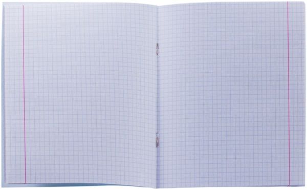 Тетрадь клетка Мечты сбываются эконом 18 листов