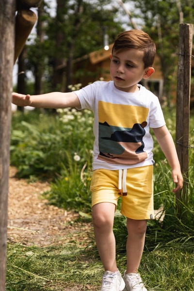 Футболка для мальчиков Koko Noko р.104 белый с рисунком T46844-37 