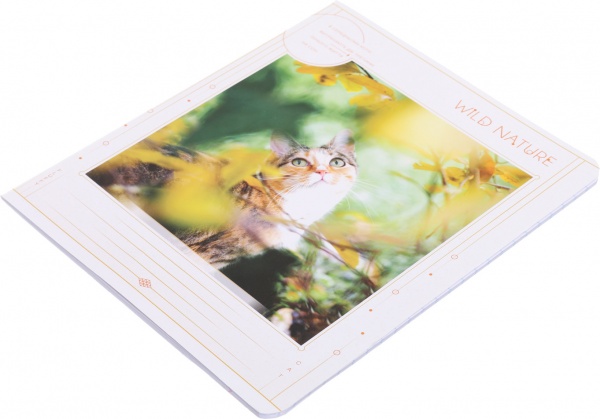 Тетрадь школьная 24 листа в линию УФ-лак в ассортименте