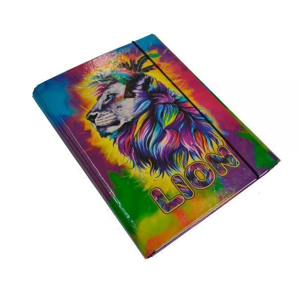 Папка для зошитів Lion B5 на резинці iTEM