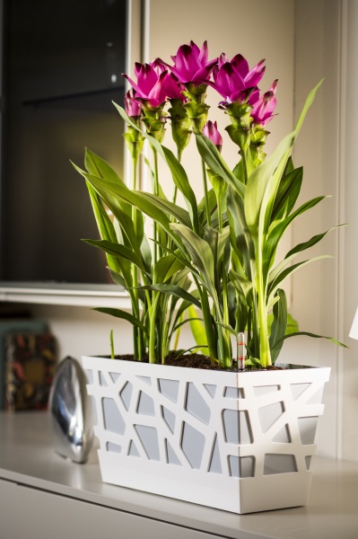 Вазон пластиковий Idel Flowerbox 40 см прямокутний 9,4 л сірий/білий (730034) 