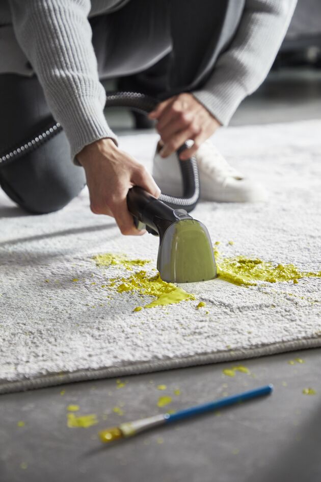 Миючий пилосос-плямовивідник Rowenta Clean It IN5020F0 green/black