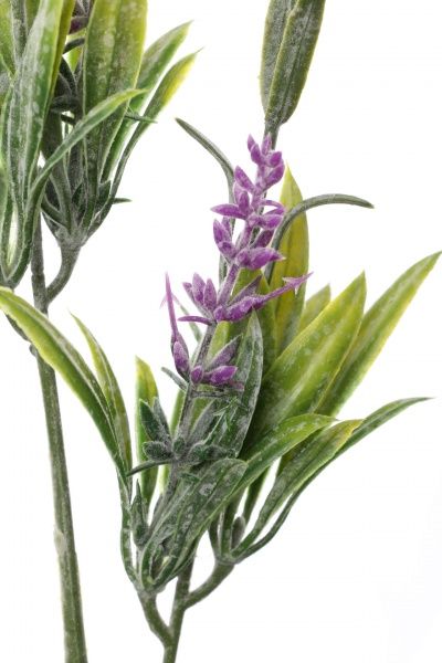 Рослина штучна Пшенія HONGYE B-07076 фіолетовий