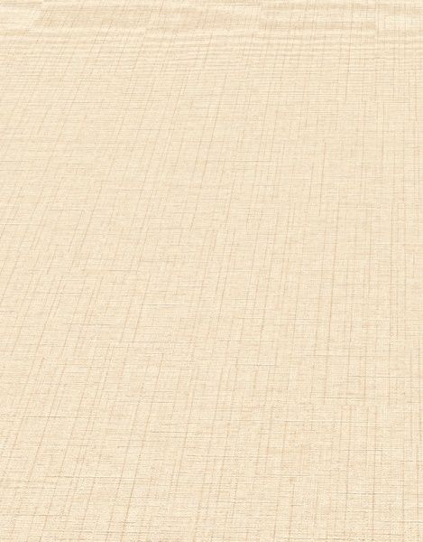 Шпалери вінілові на флізеліновій основі Erismann Paradisio 2 10140-02 0,53x10,05 м 