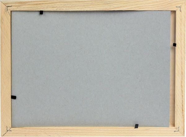 Набор для творчества Пластилиновый художник Попугай Softik