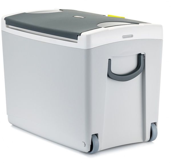 Термобокс Giostyle Shiver 43 л + 2x400 Icepacks 