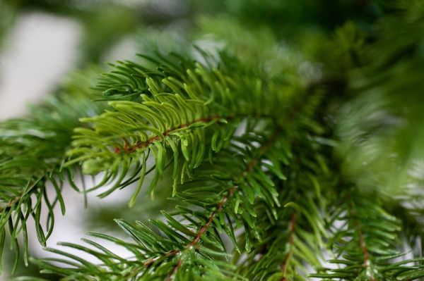 Елка искусственная Дана-150 литая хвоя зеленый 