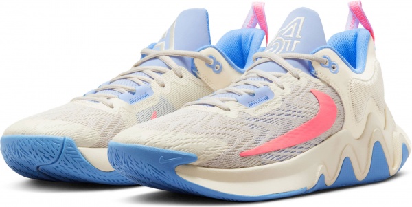 Кроссовки Nike GIANNIS IMMORTALITY 2 DM0825-103 р.42,5 разноцветный