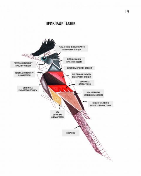 Раскраска по номерам «Зоометрія. Дивовижні птахи» 9-786-177-579-914