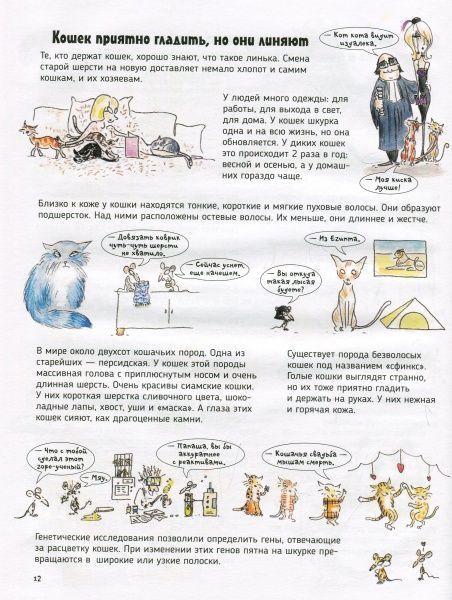 Книга «Книга Кішки.Про що говорять тварини.»
