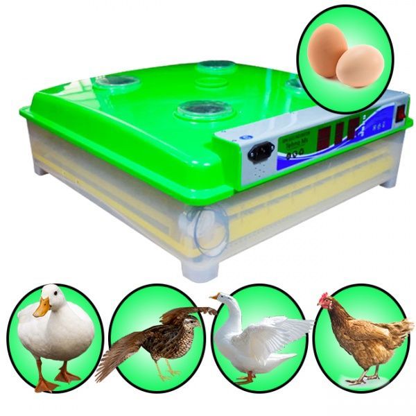 Инкубатор автоматический MS-63/252