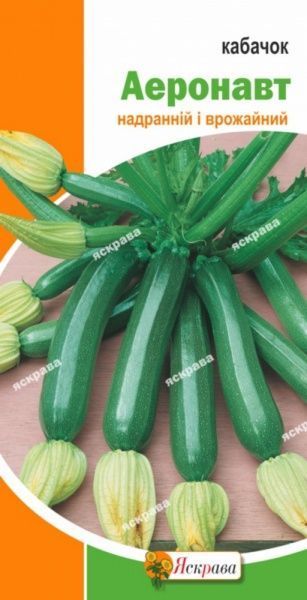 Насіння Яскрава кабачок Аеронавт 3г (4823069809928)