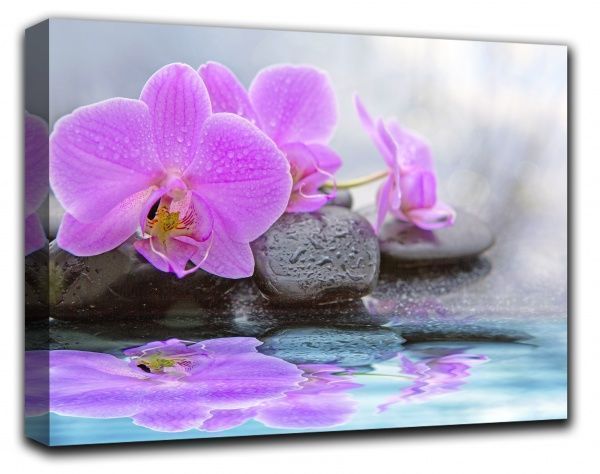 Репродукция Orhids 60x80 см RozenfeldArt 