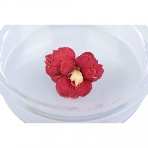 Обучающий игровой набор Same Toy Полевой микроскоп 613Ut