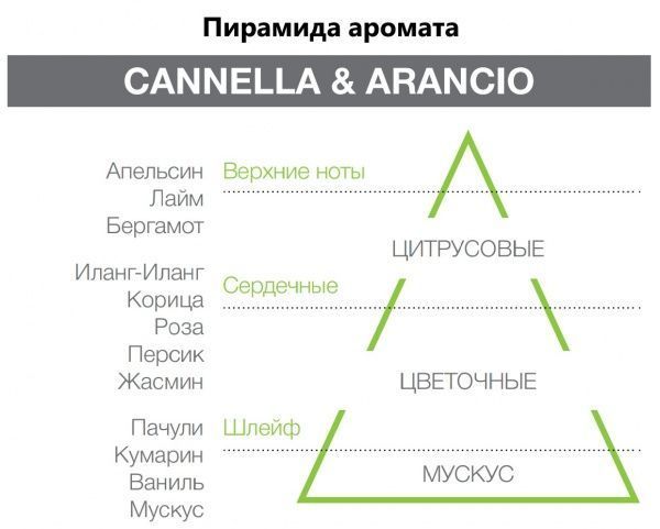 Аромадифузор для дому Hypno Casa Cannella & Arancio 250 мл 