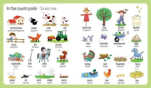 Книга «Мой Первый словарик» 978-617-7395-71-2