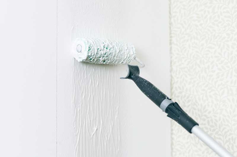 Запасной валик Anza Classic Anlon Mini 100 мм 1 шт.