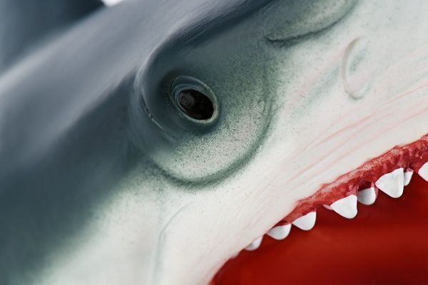 Іграшка-рукавичка Same Toy Акула X301UT