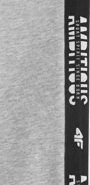 Штани 4F J4Z20-JSPMD201-25M р. 152 сірий