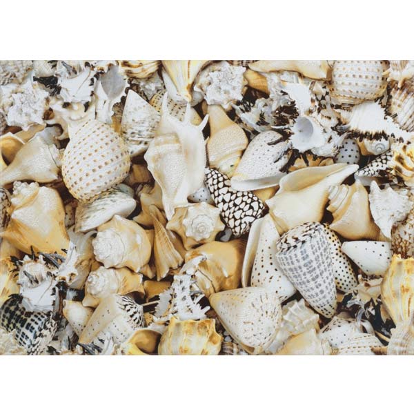 Декор Opoczno Ніцца Мушлі А 300х450 мм