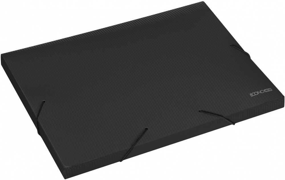 Папка-бокс 700 мкм А4 E31401-01 Economix