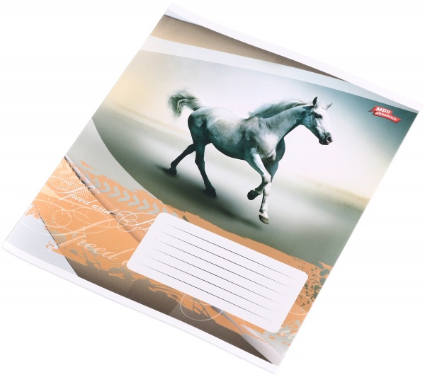 Тетрадь школьная 24 листа в линейку в ассортименте Мечты сбываются