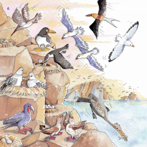 Книга Нурия Рока «Наука розповідає... Про океан» 978-617-09-3608-0