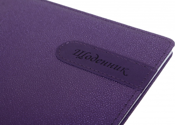 Дневник SD1562 167х211 мм 48 листов Bourgeois