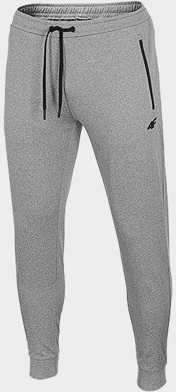 Брюки 4F NOSD4-SPMTR300-25M р. 2XL серый