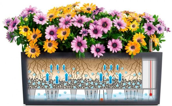 Кашпо Lechuza Balconera Color 50 прямоугольный 8л серый (15673) 