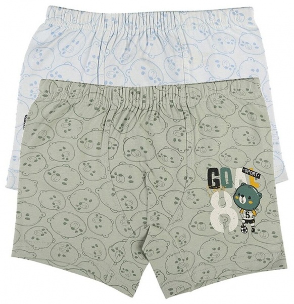 Труси для хлопчика Donella 75872GO р.110-116 в асортименті 