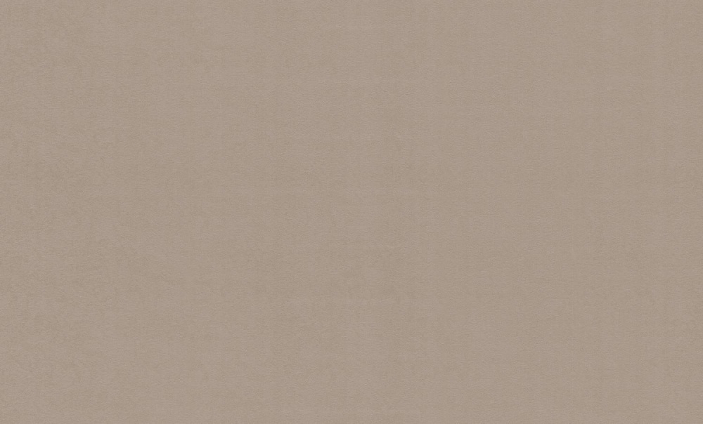 Шпалери вінілові на флізеліновій основі WallCOLOR W 151 C 03 1,06x10,05 м