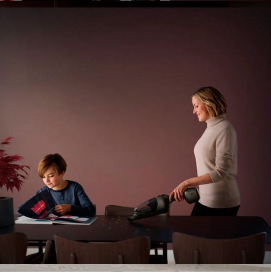 Пылесос Electrolux PQ91-50MB 