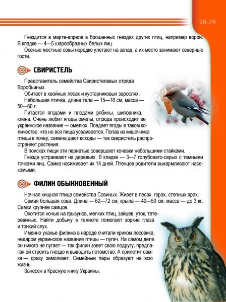 Книга Тетяна Станкевич «Растения и животные Украины» 978-617-695-063-9