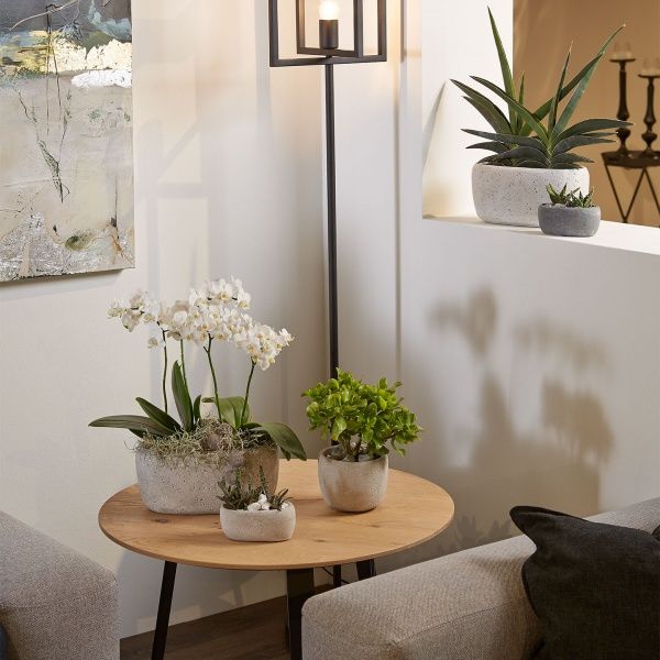 Кашпо керамічне Soendgen Bettona 1327-0028-2395 круглий темно-сірий 