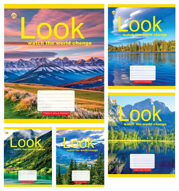 Зошит шкільний 96 аркушів клітинка