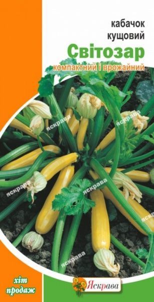 Семена Яскрава кабачок Светозар кустовой 3г (4823069809973)