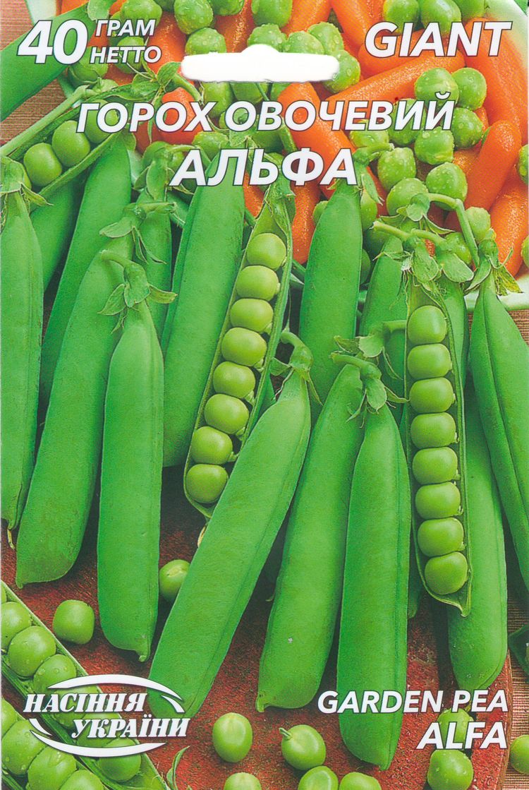 Семена горох овощной Альфа 40 г — фото 1