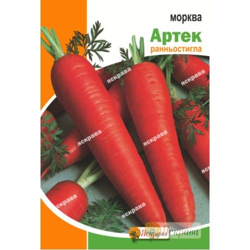 Насіння Яскрава морква Артек 15г (4823069912222)