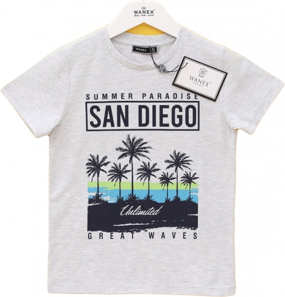 Футболка для хлопчиків Wanex 10879 р.116 сірий 