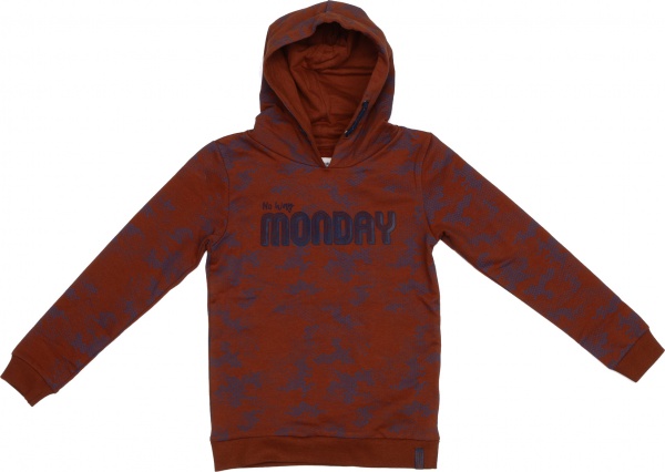 Худи для мальчика NWM р.140 коричневый U44164-1 
