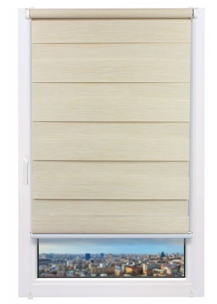 Ролета день-ночь Delfa Натур 57x160 см шампань 