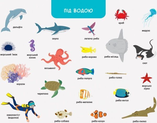 Книга «Книга Ура, мы заговорили! Кто и где?» 978-617-09-4645-4