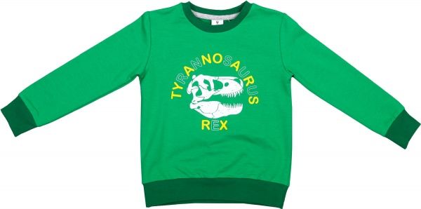 Джемпер Роза 190136 р.122 зелений 